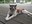 0C2BDA3F-DE1D-4206-B2ED-D04B7377F1B6_1_105_c.jpeg